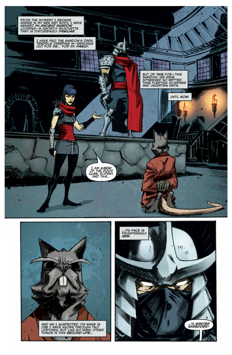 Illustration for article titled A sneak peek of the next issue of Teenage Mutant Ninja Turtles